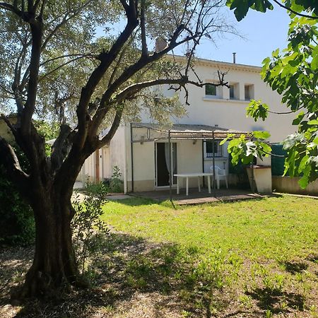 Orteils Au Soleil Jardin Parking Nîmes Exteriör bild